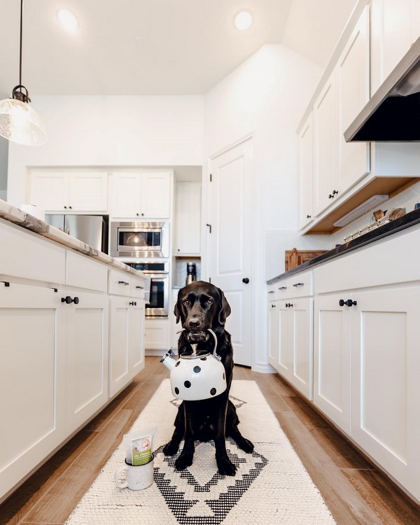 Washable Rugs